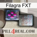 Filagra FXT 38